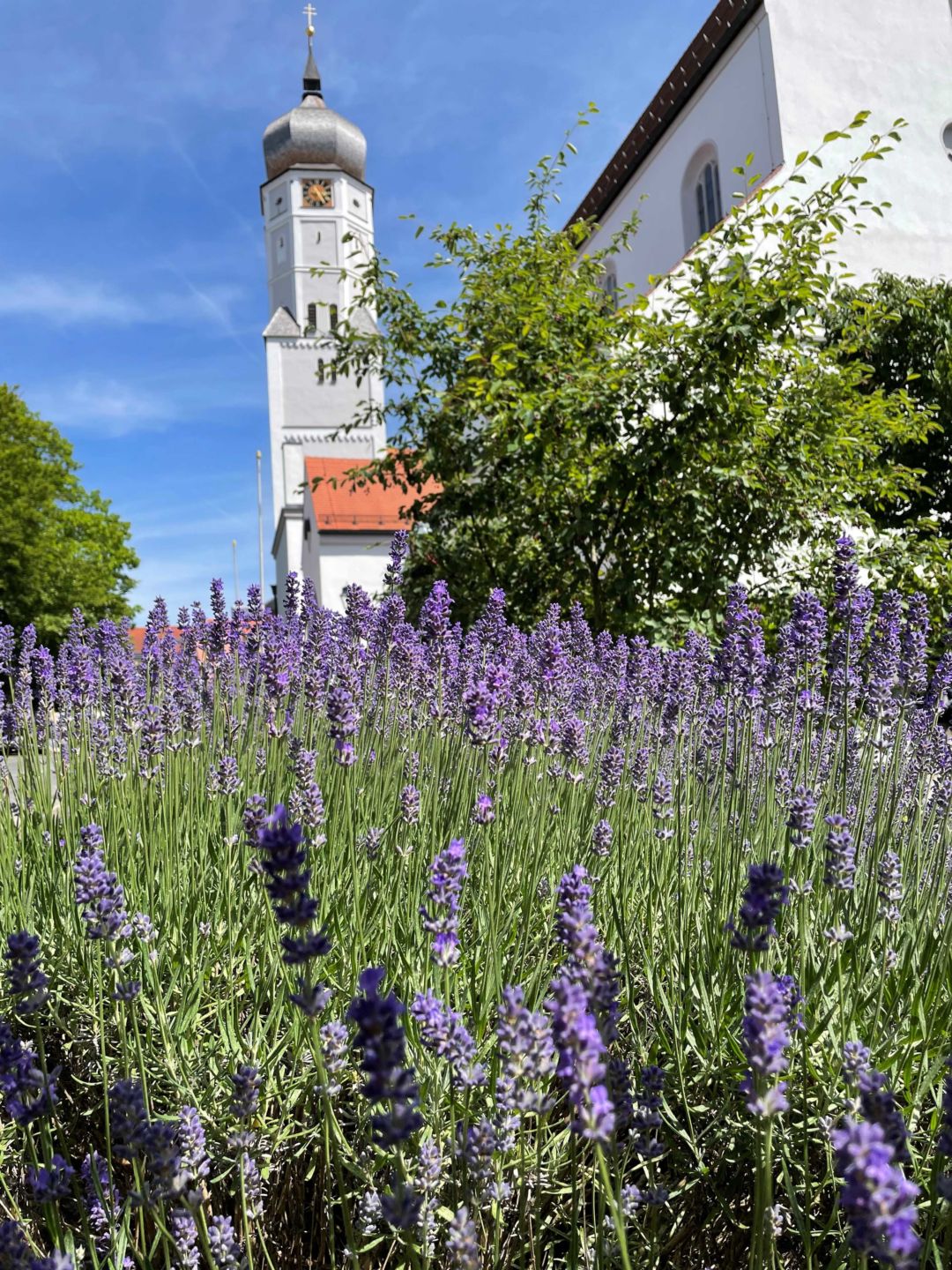 Stadtpfarrkirche in der Provence für Web