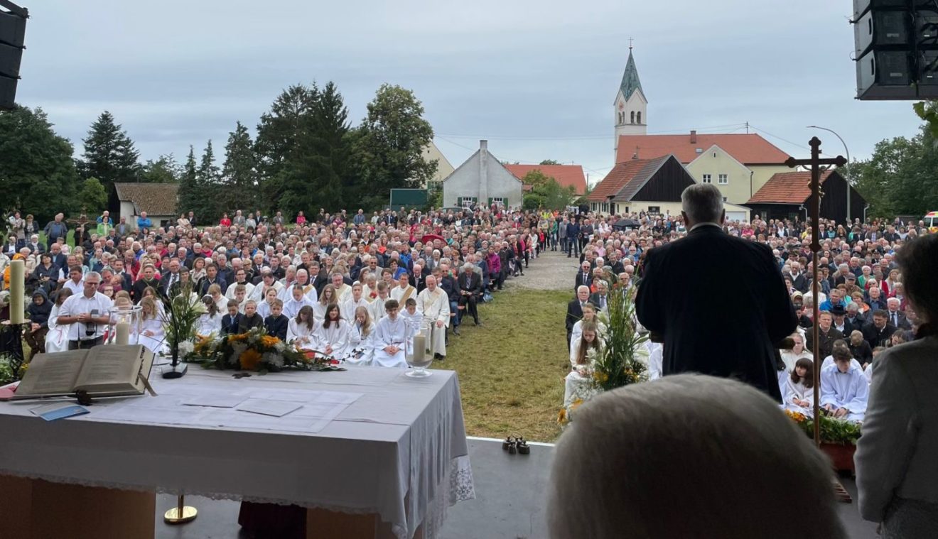 Primiz von Richard Reißner